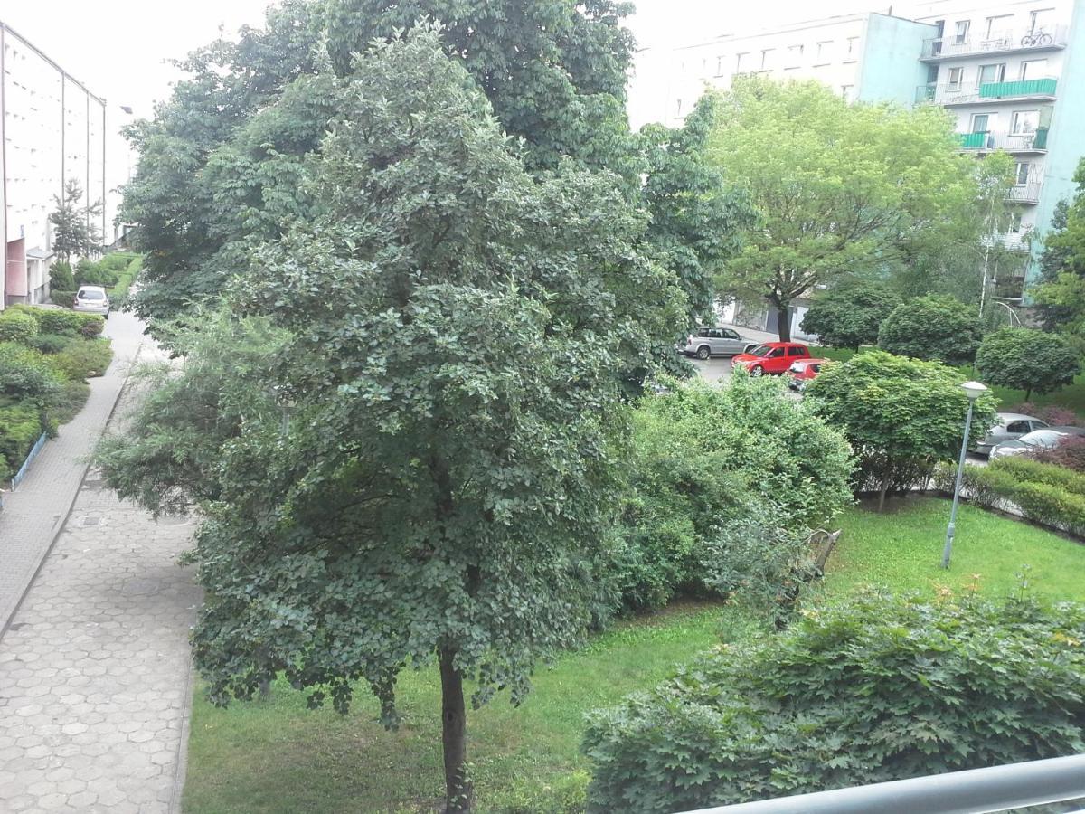 3030 Jana Spychalskiego 32 - Tanie Pokoje W Apartamencie - Samodzielne Zameldowanie - Self Check In ポズナン エクステリア 写真